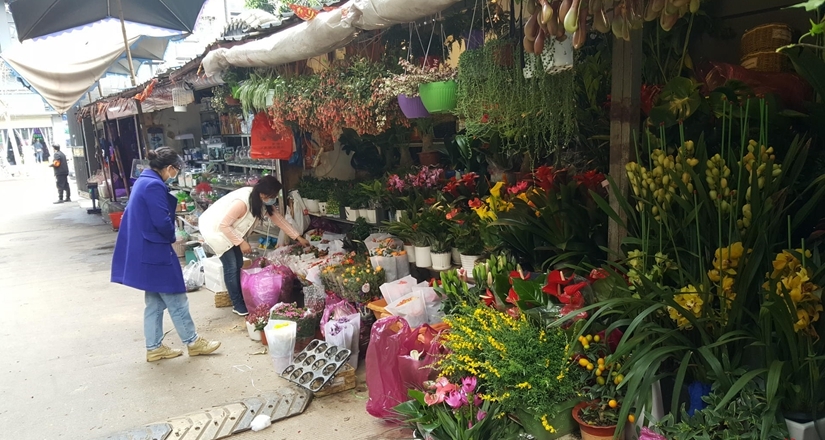 成都青石桥花鸟市场“归来”：鱼龟花易购 猫狗鸟难寻