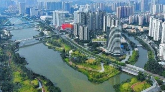 获评最多，首届自贸片区党建创新案例南沙亮了！